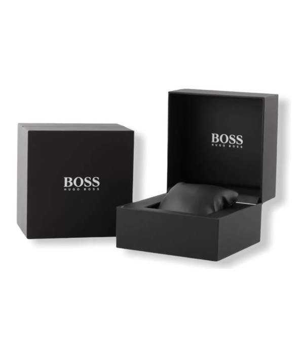 MONTRE HUGO BOSS FLAWLESS 1502551